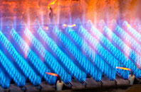 Geinas gas fired boilers